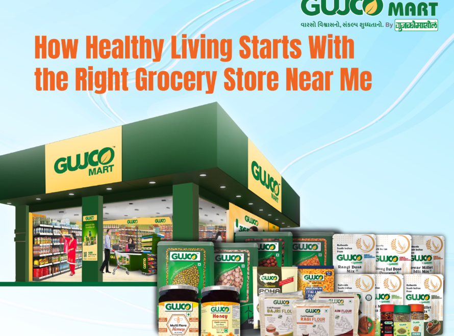 Best grocery store in gujarat