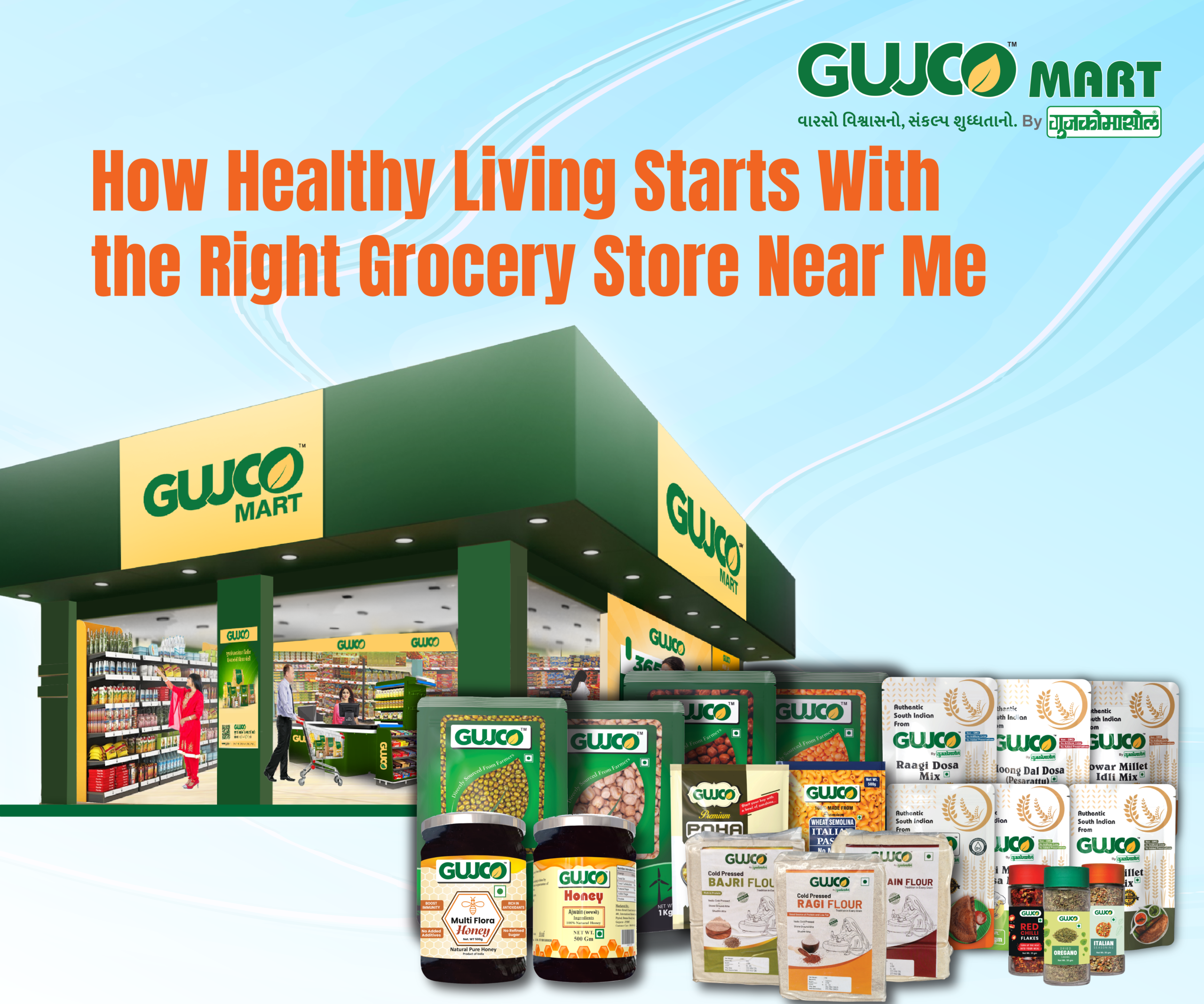 Best grocery store in gujarat